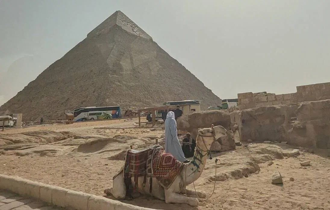 2 Wochen Ägypten-Rundreise mit Nilkreuzfahrt – ich war wieder mal unterwegs 10 Kamel vor der Pyramide