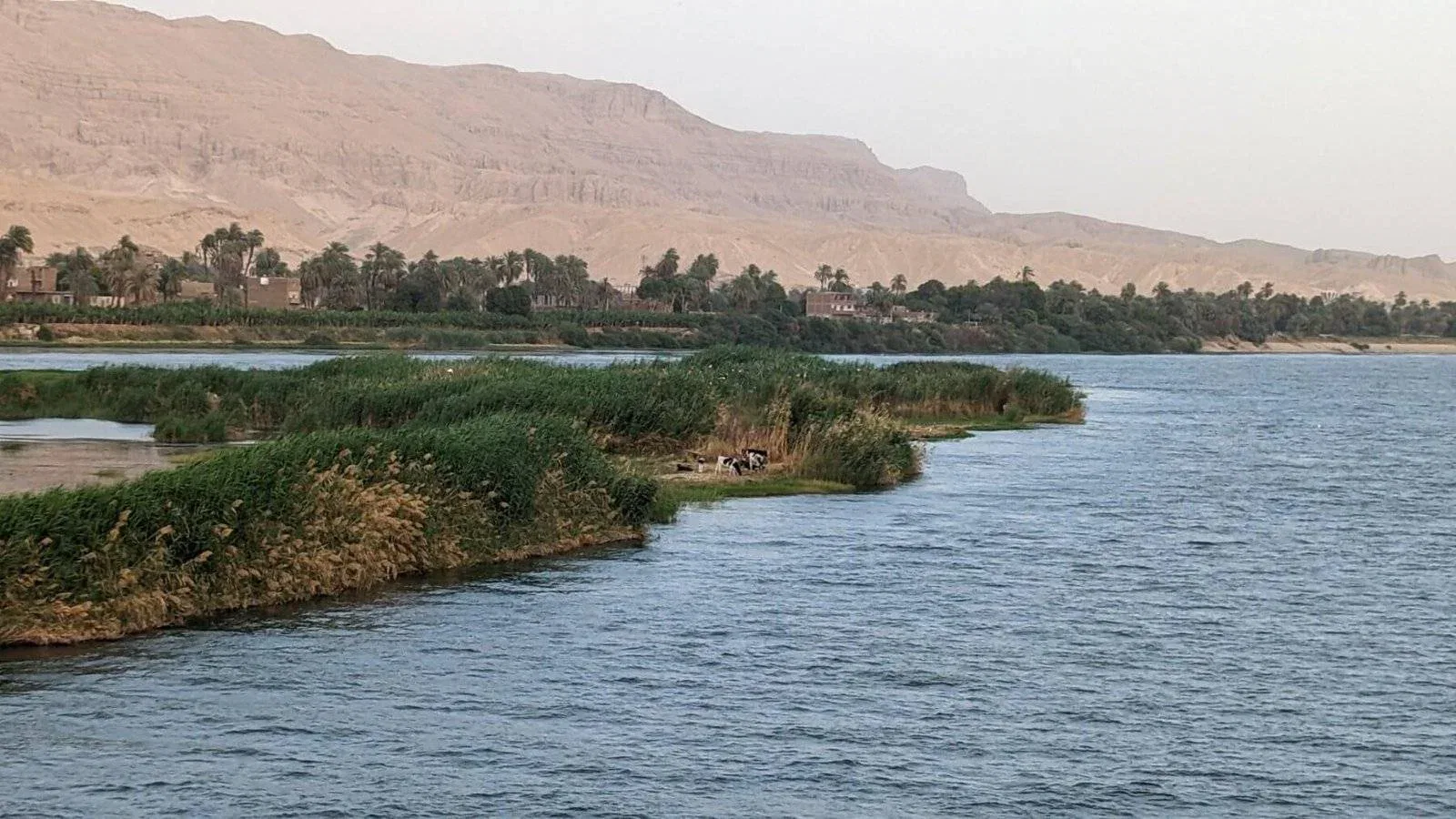 2 Wochen Ägypten-Rundreise mit Nilkreuzfahrt – ich war wieder mal unterwegs 18 PXL 20230411 150537024