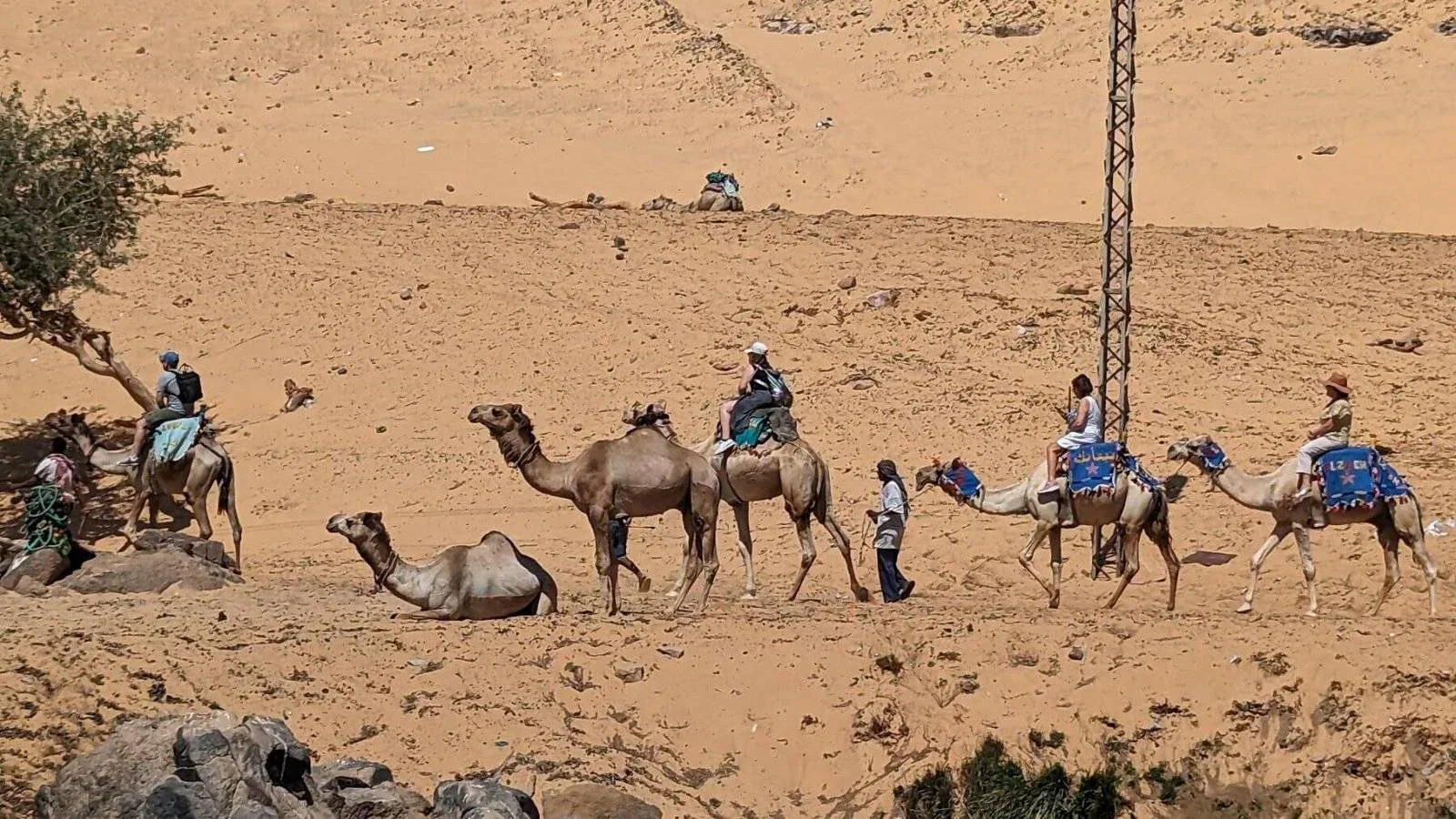 2 Wochen Ägypten-Rundreise mit Nilkreuzfahrt – ich war wieder mal unterwegs 15 PXL 20230415 075603116