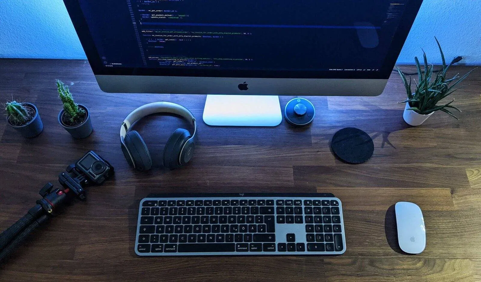 PXL 20211125 212912062 e1640297214282