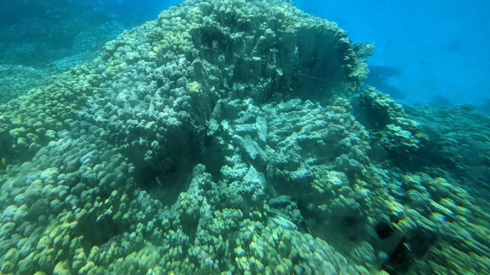 2 Wochen Ägypten-Rundreise mit Nilkreuzfahrt – ich war wieder mal unterwegs 2 Korallenriff im roten Meer, Hurghada, Ägypten