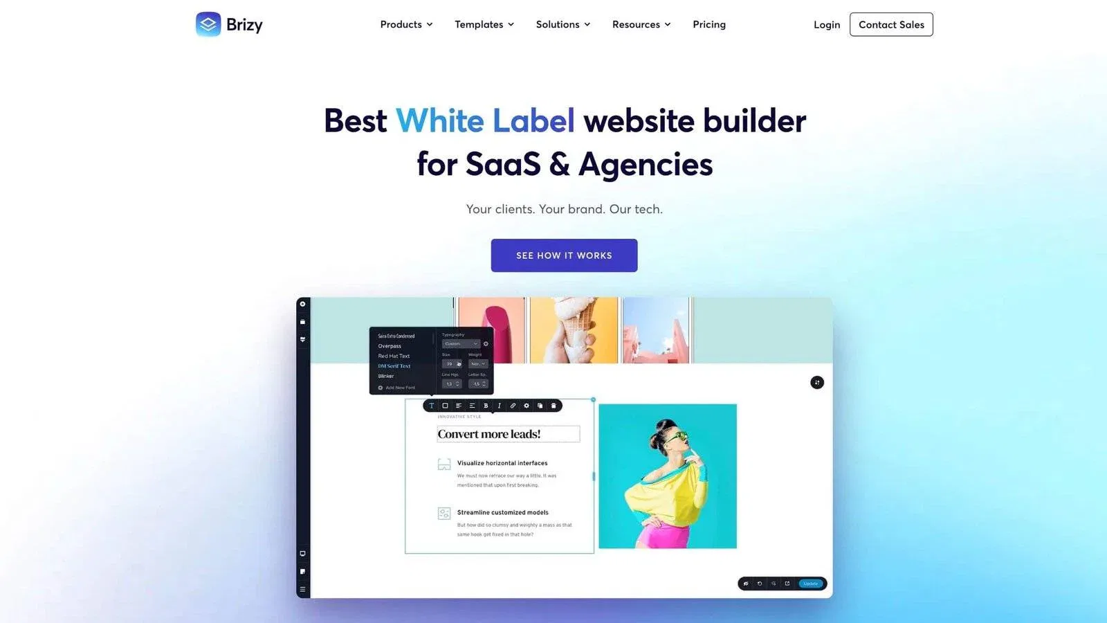 brizy website builder